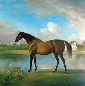 La jument poulinière de Lord Bolingbroke dans les jardins de Lydiard Park, Wiltshire, c.1764-66