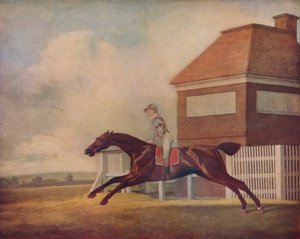 Le cheval de course Trentham de M. Ogilvy à Newmarket avec jockey, 1771
