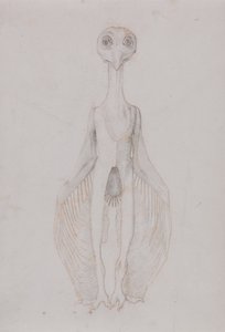Chouette debout, vue antérieure - George Stubbs