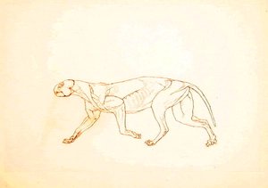 Étude d