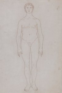 Étude de la figure humaine, vue antérieure (dessin au trait pour la table VI) - George Stubbs