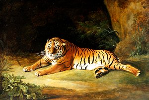 Tigre