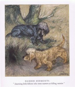 Dandie Dimonts (colour litho)
