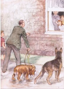 Les épagneuls dégoulinaient de boue et de bave, extrait de Pets Limited publié par Collins