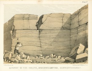Carrière dans l