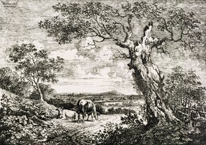 Deux vaches dans un champ