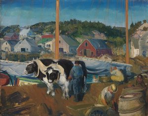 Équipe de bœufs, quai à Matinicus, 1916