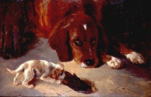 Un chiot curieux