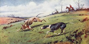 Coursing