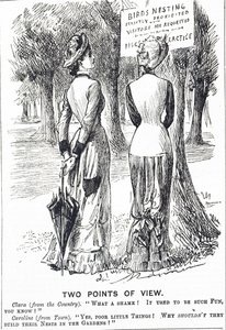 Caricature commentant la loi sur la protection des oiseaux de 1880