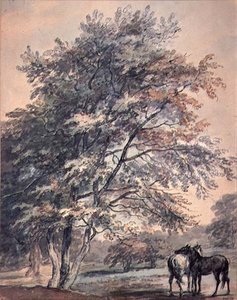 Arbres et chevaux
