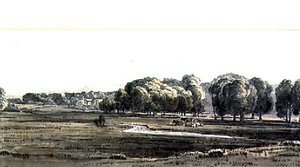 Paysage avec prairie et ruisseau