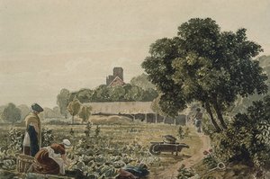 Jardin maraîcher à Chelsea