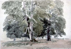 Étude d