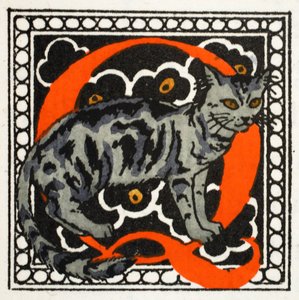 C pour Chat