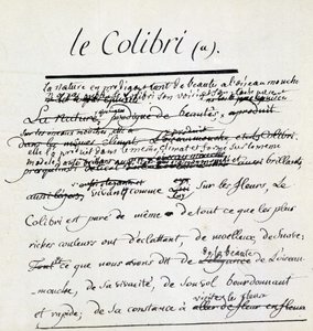 Manuscrit de Buffon sur le Colibri. sd. 18ème siècle