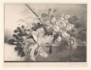 Nature morte avec raisins et châtaignes - Georgius Jacobus Johannes van Os