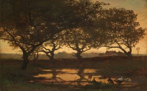 Étang forestier au coucher du soleil