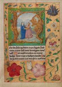 Initial H : La visite