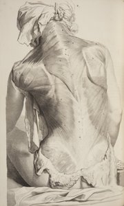 Anatomia Humani Corporis par Govard Bidloo, 1685