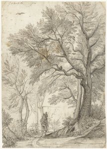 Bois de la Villa Madama près de Rome - Gerard ter Borch