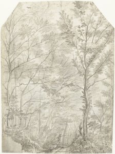 Bois de la Villa Madama près de Rome, avec un chasseur