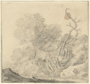 Maisons entre des arbres près de l