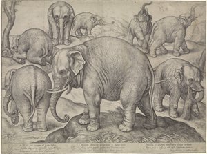 Huit éléphants - Gerard van Groeningen