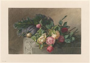 Nature morte avec roses et feuille de chou - Gerardina Jacoba van de Sande Bakhuyzen