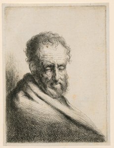 Vieil homme à la barbe - Gerbrand van den Eeckhout