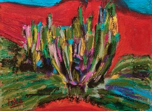 Esprit de Saguaro, 2018