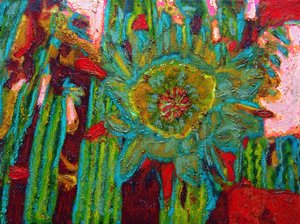 Fleur de cactus San Pedro, 2013