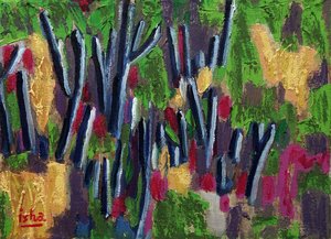 Saguaros de printemps, 2018
