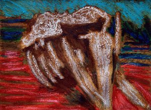 Squelette de baleine - Gerhardt Isringhaus
