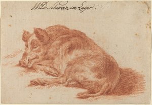 Sanglier