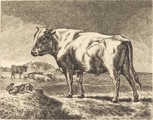 Vache