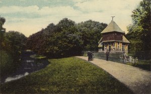 La ville de Brême : Le gibier dans le Burgerpark (colour photo) - German Photographer