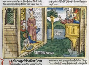 2 Samuel 11:1-5 David voit Bethsabée se baigner, de la Bible de Nuremberg (Biblia Sacra Germanaica)