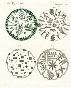 Tous types de cristaux de sel