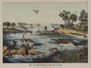 Animaux et plantes de la période jurassique en Europe - German School