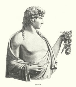 Antinoüs, jeune grec et favori ou amant de l