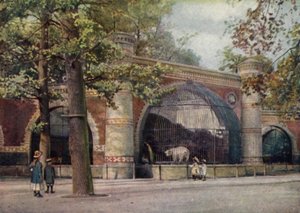 Enclos des ours, Jardin zoologique de Berlin, Allemagne