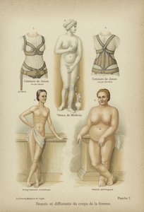 Beauté et difformité dans le corps féminin