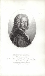 Bernhard Siegfried Albinus - German School