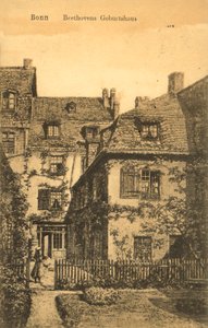 Bonn, lieu de naissance de Beethoven