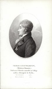 Charles Louis Wildenow - German School