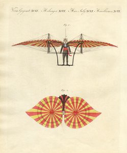Machine volante de Degen (gravure en couleur) - German School