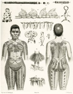 Diagramme montrant des bijoux, ornements et motifs de tatouage polynésiens, 1888