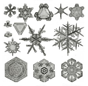 Différentes formes de flocons de neige - German School