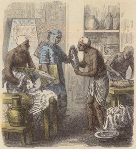 Embaumement des animaux en Égypte ancienne (gravure en couleur) - German School